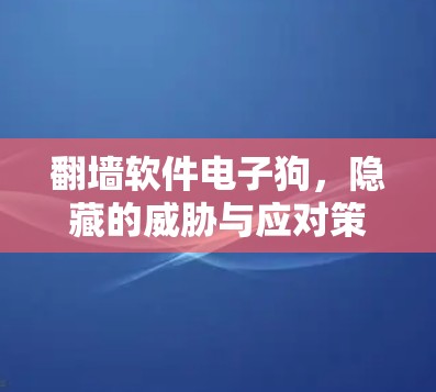 翻墙软件电子狗,隐藏的威胁与应对策略 翻墙软件电子狗,隐藏的威胁与应对策略