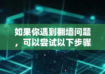如果你遇到翻墙问题，可以尝试以下步骤