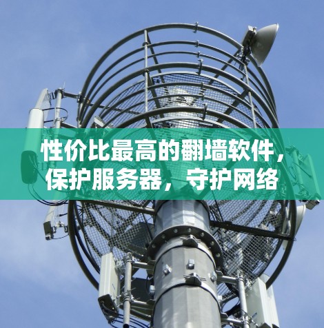 性价比最高的翻墙软件,保护服务器,守护网络 性价比最高的翻墙软件,保护服务器,守护网络