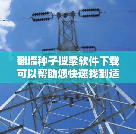 翻墙种子搜索软件下载可以帮助您快速找到适合的翻墙种子。以下是一些常用的翻墙种子搜索软件及其下载链接,您可以根据自己的需求选择合适的软件 翻墙种子搜索软件下载可以帮助您快速找到适合的翻墙种子。以下是一些常用的翻墙种子搜索软件及其下载链接,您可以根据自己的需求选择合适的软件