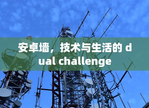 安卓墙，技术与生活的 dual challenge
