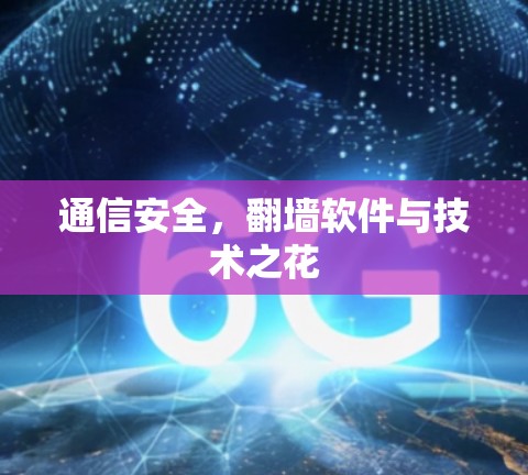 通信安全，翻墙软件与技术之花