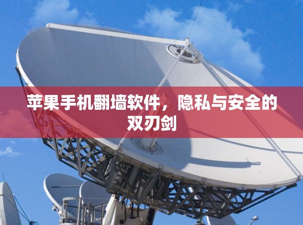 苹果手机翻墙软件，隐私与安全的双刃剑
