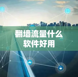 翻墙流量什么软件好用