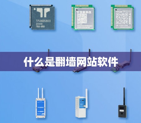 什么是翻墙网站软件