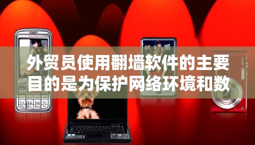 外贸员使用翻墙软件的主要目的是为保护网络环境和数据安全，特别是在面对日益复杂的恶意软件威胁和复杂网络环境时。以下是对外贸员使用翻墙软件的具体步骤和作用的总结