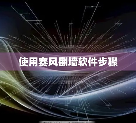 使用赛风翻墙软件步骤