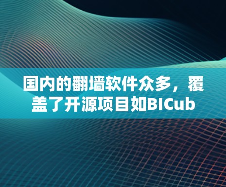 国内的翻墙软件众多,覆盖了开源项目如BICube、SFW等,反渗透软件如SideEffect、Vox,以及一些基于移动设备的软件如NetMask、AndriodMask。以下是对这些软件的综合评价 国内的翻墙软件众多,覆盖了开源项目如BICube、SFW等,反渗透软件如SideEffect、Vox,以及一些基于移动设备的软件如NetMask、AndriodMask。以下是对这些软件的综合评价