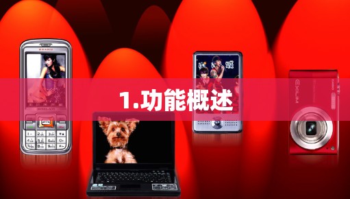 1.功能概述