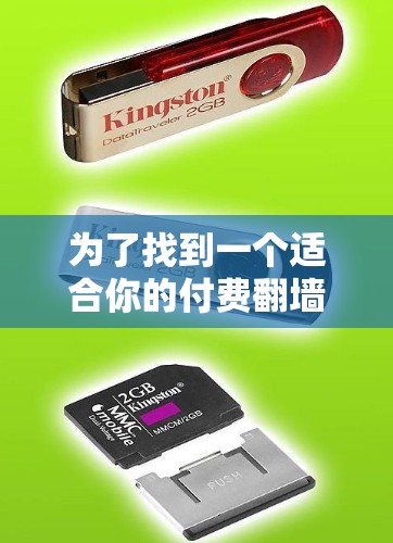 为了找到一个适合你的付费翻墙软件，以下是一些推荐，根据你的需求和预算进行选择