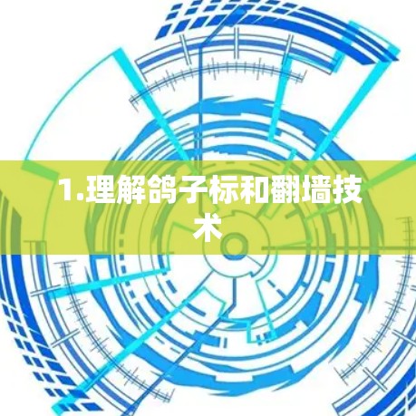 1.理解鸽子标和翻墙技术 1.理解鸽子标和翻墙技术