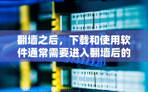 翻墙之后，下载和使用软件通常需要进入翻墙后的网络环境。以下是具体的步骤和方法