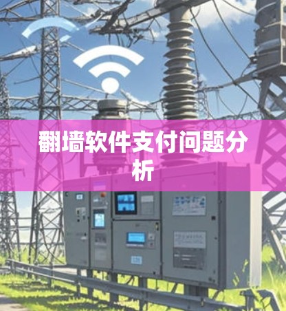 翻墙软件支付问题分析
