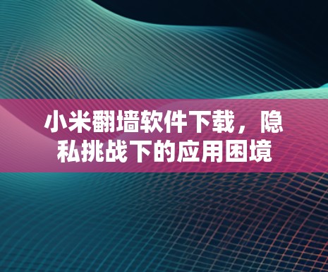 小米翻墙软件下载，隐私挑战下的应用困境