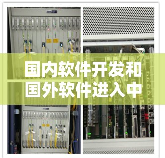 国内软件开发和国外软件进入中国的现象是多方面的，以下是详细的分析