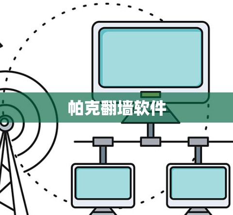 帕克翻墙软件