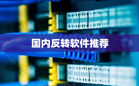 国内反转软件推荐