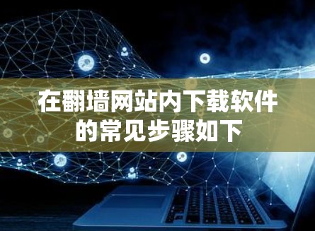 在翻墙网站内下载软件的常见步骤如下