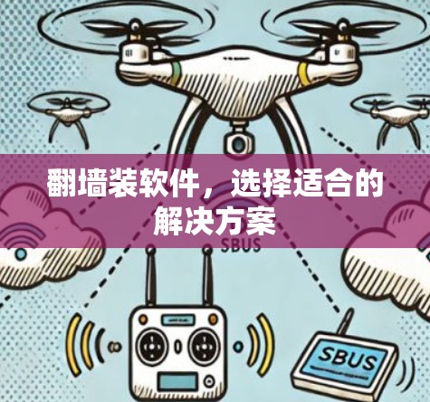 翻墙装软件，选择适合的解决方案