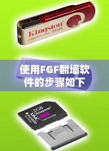 使用FGF翻墙软件的步骤如下