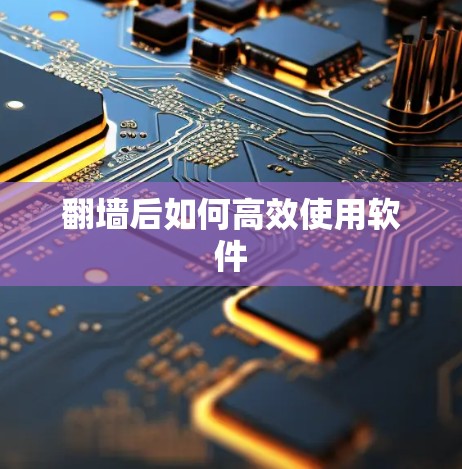 翻墙后如何高效使用软件