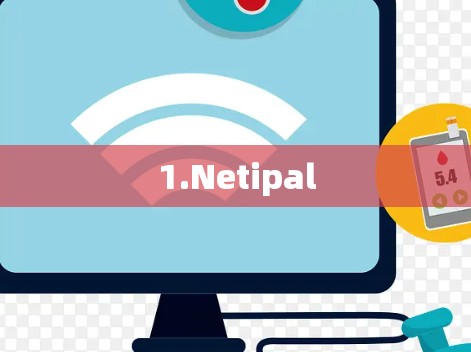 1.Netipal