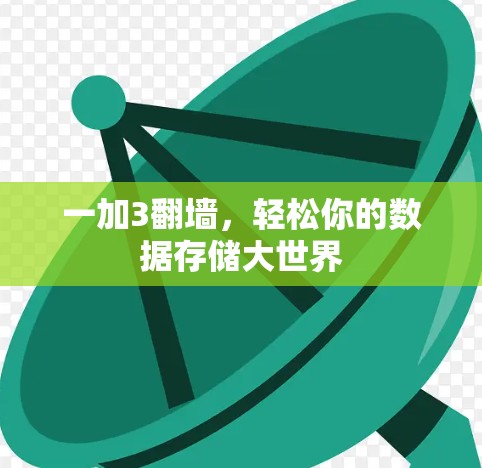 一加3翻墙，轻松你的数据存储大世界