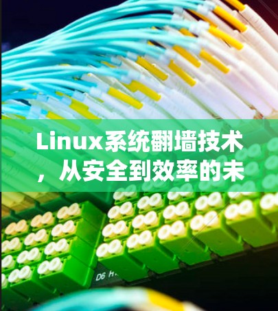 Linux系统翻墙技术,从安全到效率的未来解决方案 Linux系统翻墙技术,从安全到效率的未来解决方案
