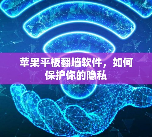 苹果平板翻墙软件,如何保护你的隐私